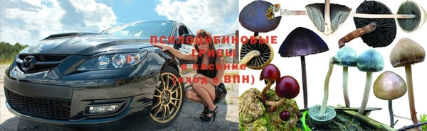 мяу мяу мука Аркадак
